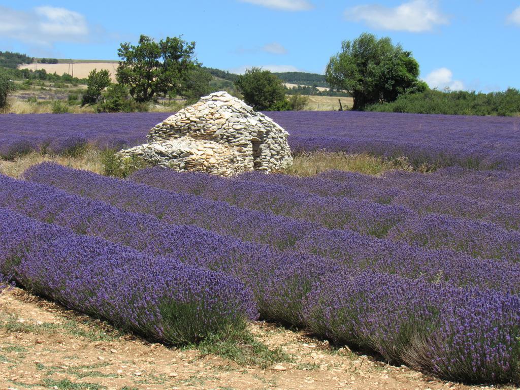 Residence De Gites La Sidoine Du Mont-Ventoux Крийон-льо-Брав Екстериор снимка